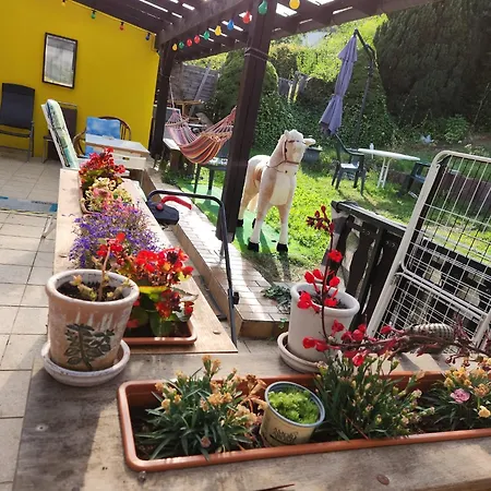Hochwald Hotel *