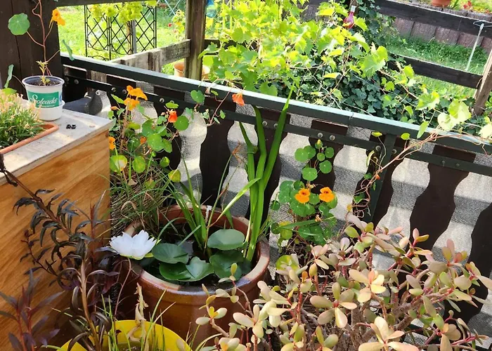 Hochwald * Hattgenstein